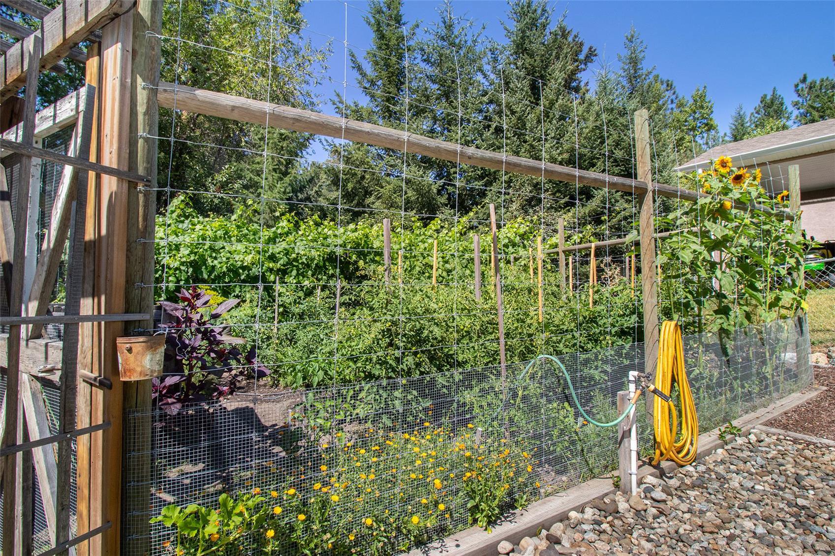 Garden irrigation line and hose bib on a SE Kelowna acreage property