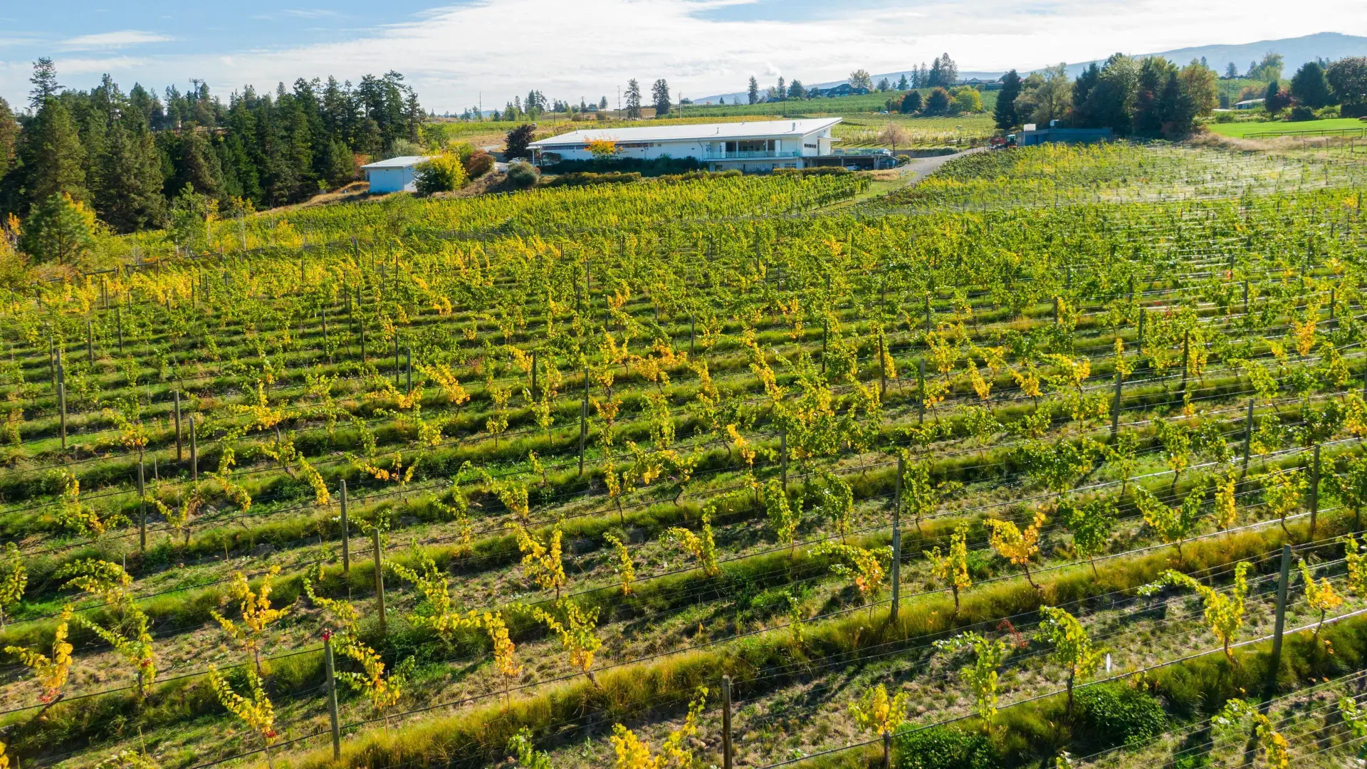 Half-acre treed lot in the Hall Road neighbourhood, SE Kelowna